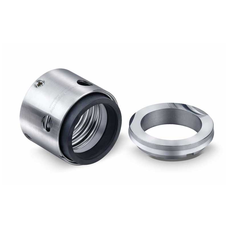 Series 260 representative Spring Seals assembly