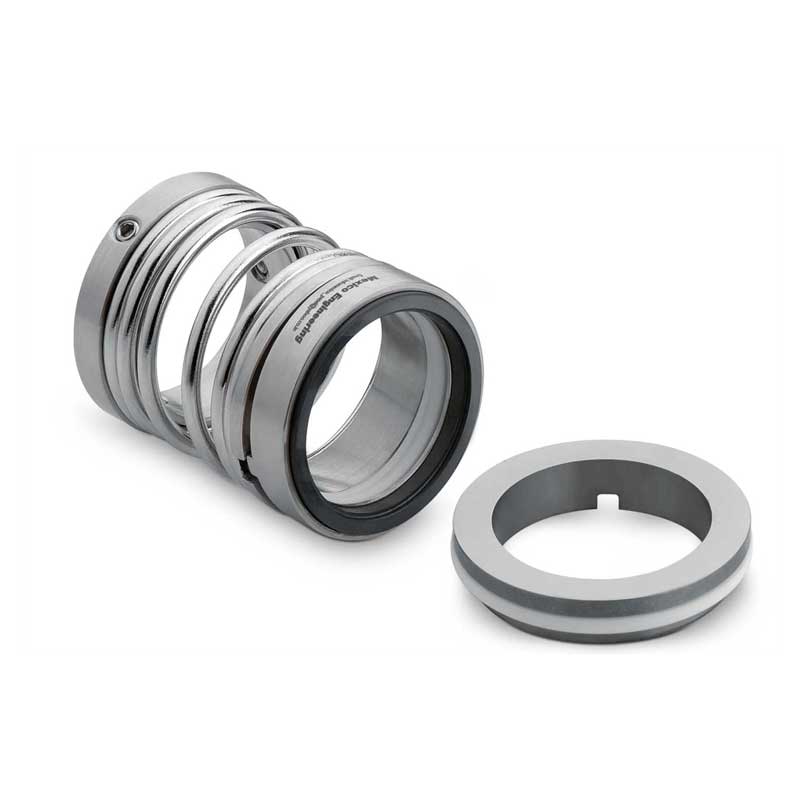 Series 270 representative Spring Seals assembly